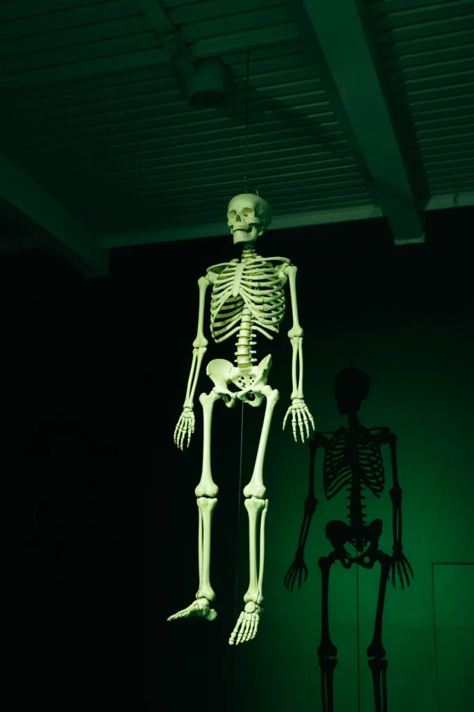 20 33