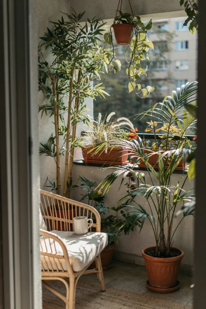 Privacy Plant Screen