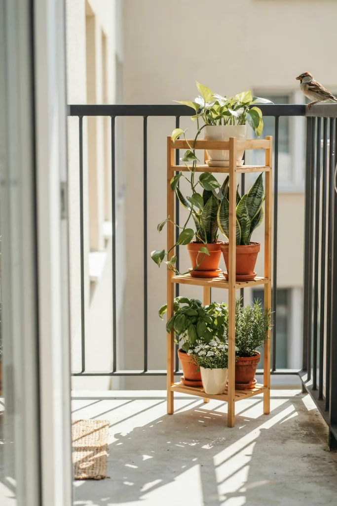 Tiered Plant Stand