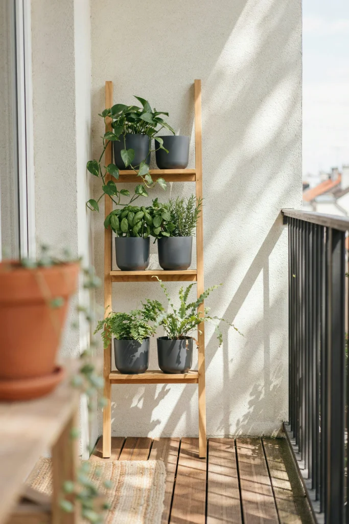 Vertical Plant Wall